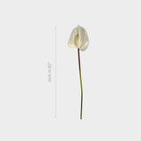 Artificial white Anthurium Flower