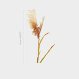 Artificial  Pampas Grass flowers