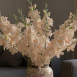 Delphinium Soft Peach Flowers.