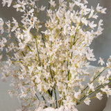 White Delphinium Flowers.