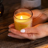 Boston Aroma Soy Candle