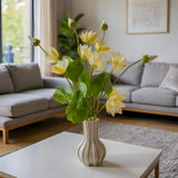 White Lotus Flower