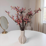 Plum Blossom Flowers