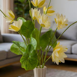 White Lotus Flower