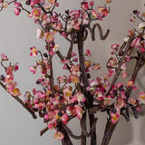 Plum Blossom Flowers