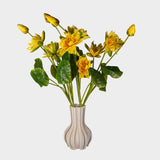Yellow Lotus Flowers
