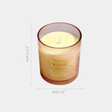 Boston Aroma Soy Candle