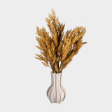 Pampas Bush Brown Flowers