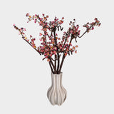 Plum Blossom Flowers