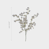 White Delphinium Flowers