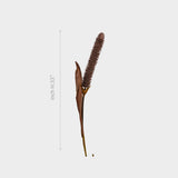 Artificial Brown Grass Stems for Home Decor.