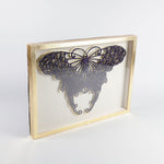 Butterfly Framed Sculpture Wall Art