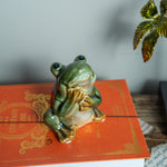 Ceramic Frog.