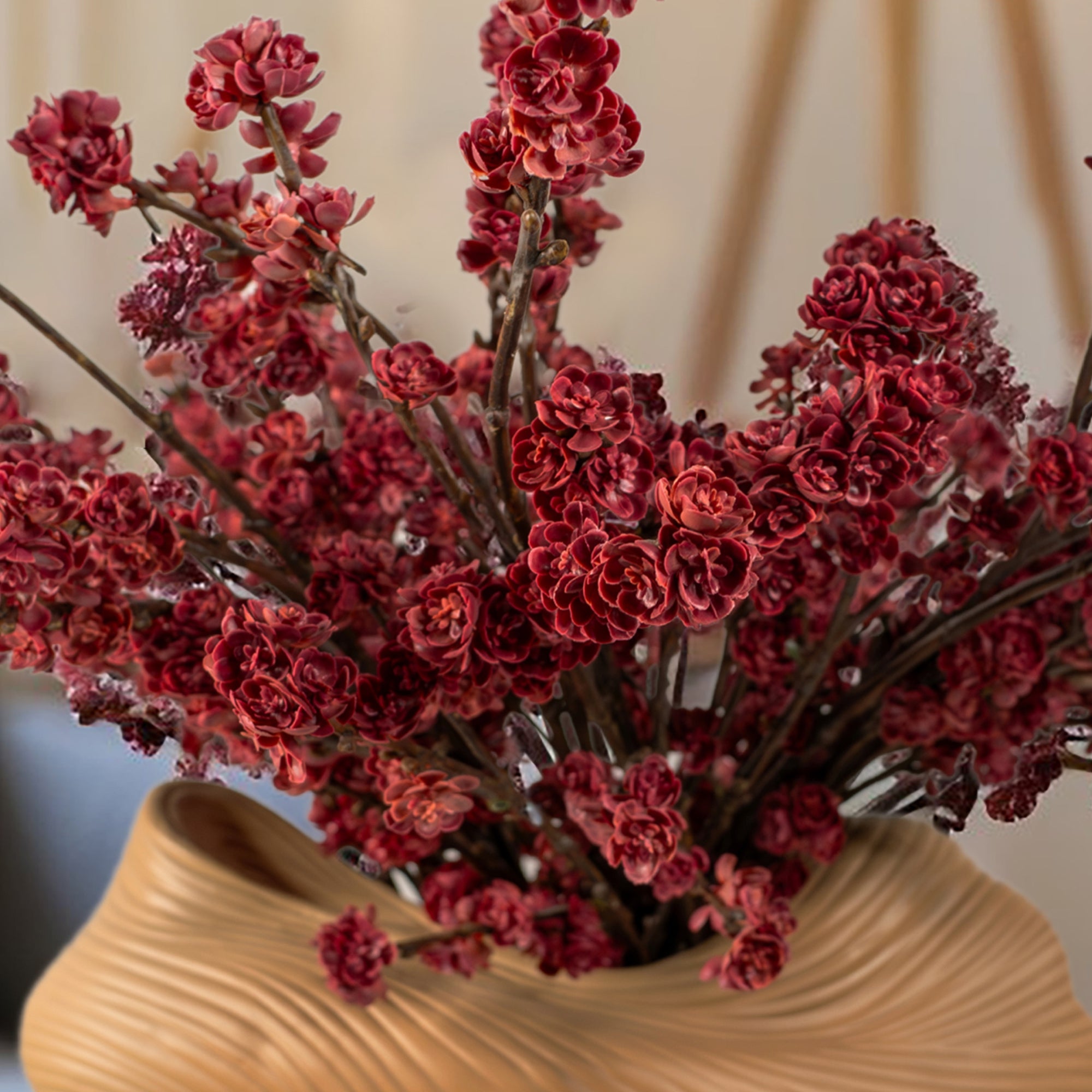 Red Cherry Blossom Flowers.