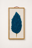 Blue Feather Glass Wall Art