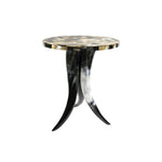 Table with Horn Leg