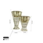 The Big Golden Pot with Wired Basket Planter (Set of 2)
