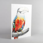 Toucan Canvas.