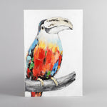 Toucan Canvas