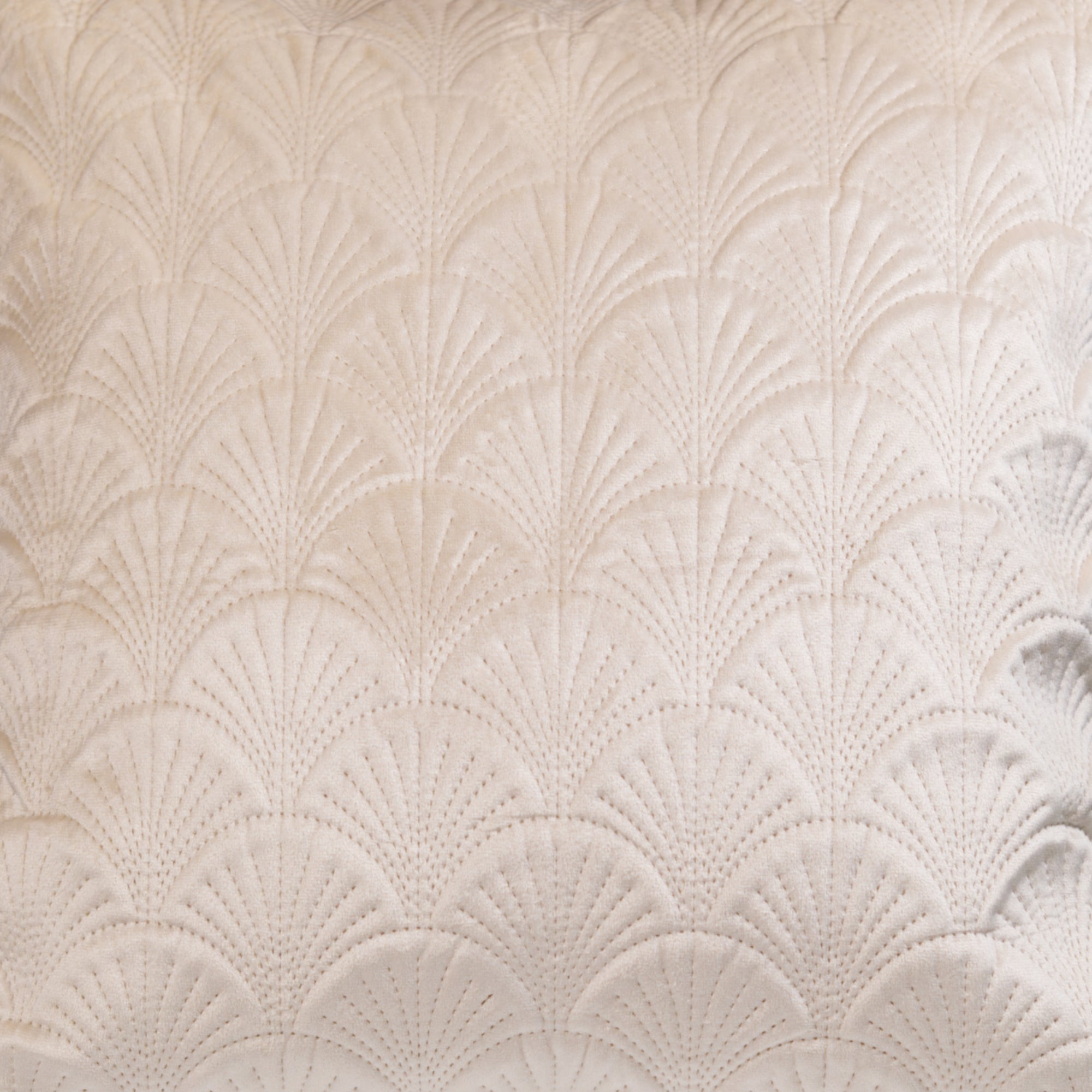 White Textured 