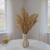 Beige Pampas Grass flowers.