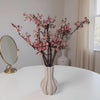 Plum Blossom Flowers